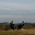 karlbrooksproduction.com favicon
